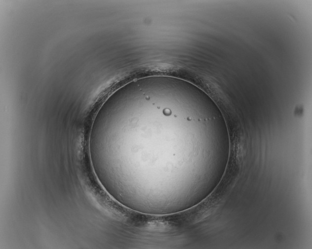 X0000112820591200908281533