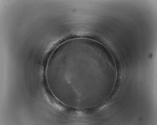 X0000112820592200908281533