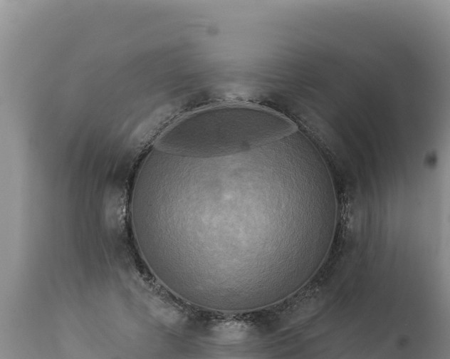 X0000112820593200908281533