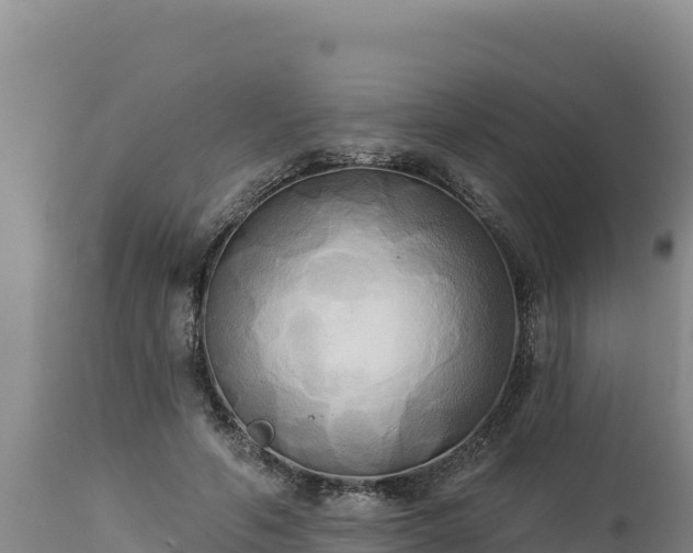 X0000112820594200908281533