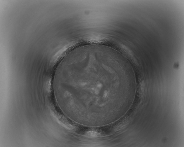 X0000112820596200908281532