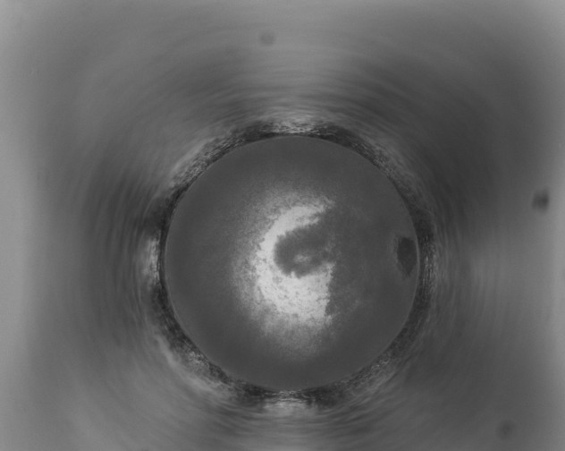 X0000112820598200908281532