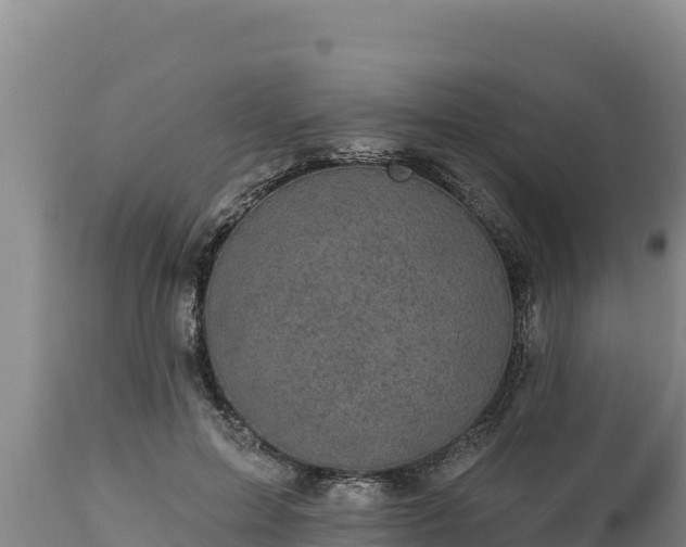 X0000112820599200908281532