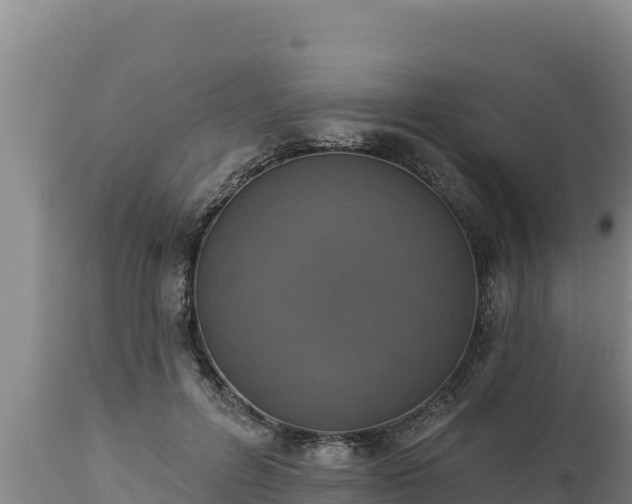 X0000112820600200908281532