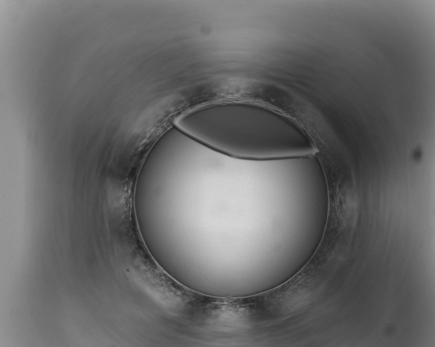 X0000112820601200908281532