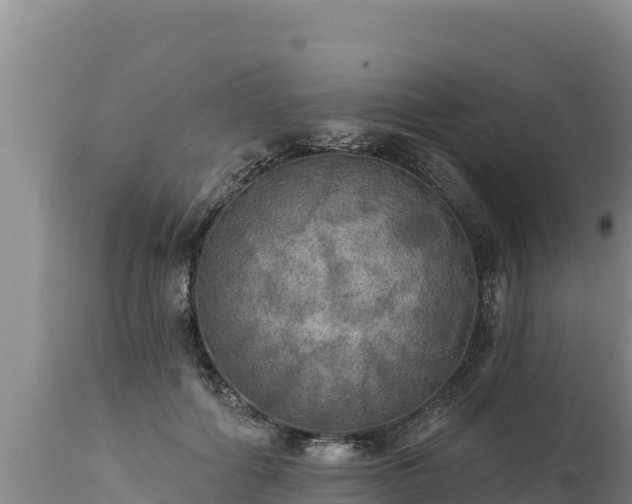 X0000112820602200908281532