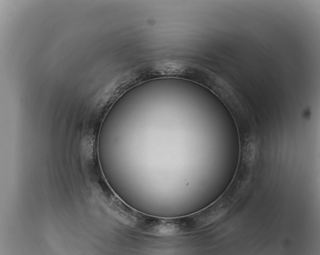 X0000112820604200908281532