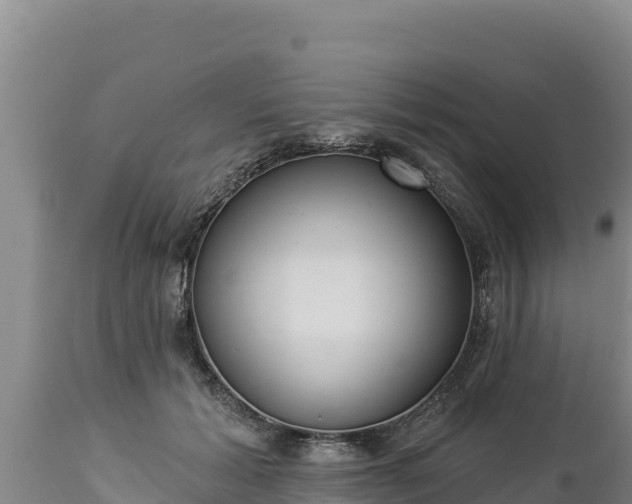 X0000112820605200908281532