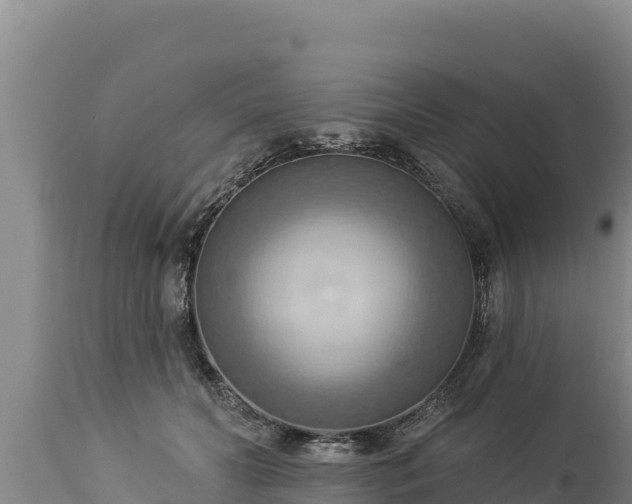 X0000112820606200908281532