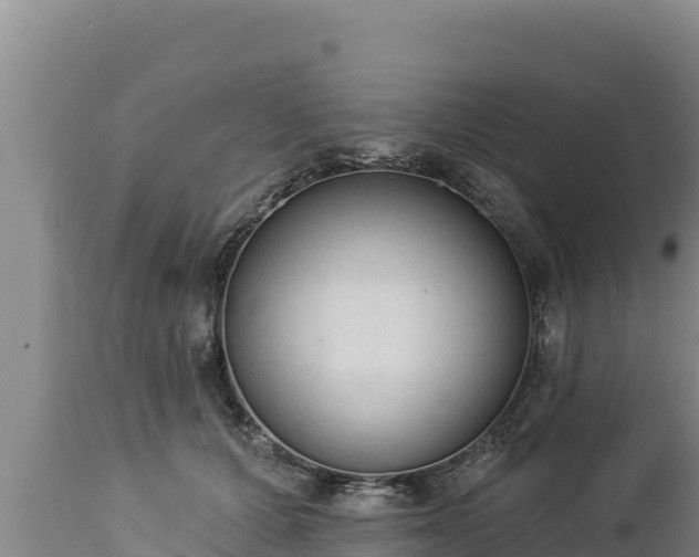 X0000112820607200908281532