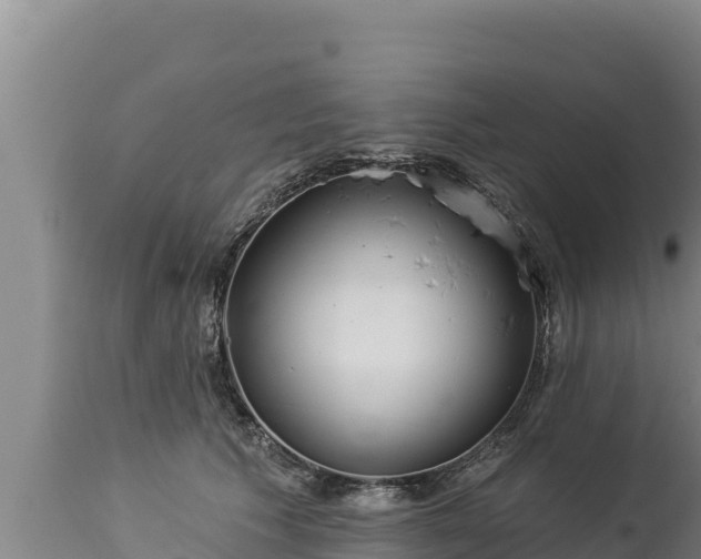 X0000112820609200908281532