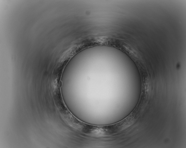 X0000112820611200908281532