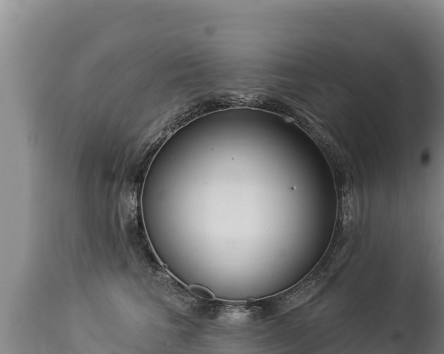 X0000112820613200908281532