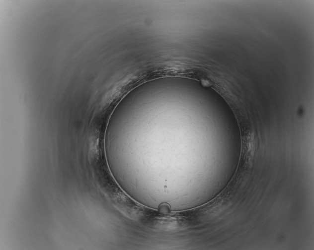 X0000112820615200908281532