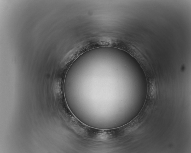 X0000112820616200908281532