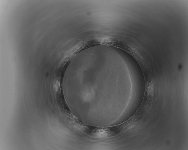 X0000112820618200908281532