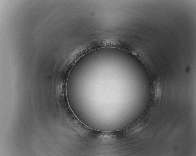 X0000112820619200908281532