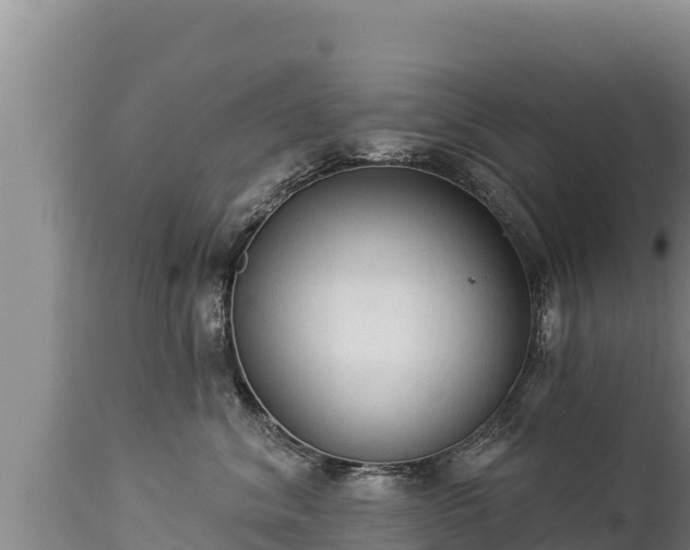 X0000112820620200908281532