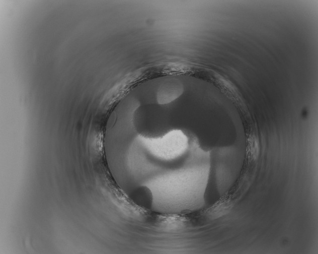 X0000112820621200908281532