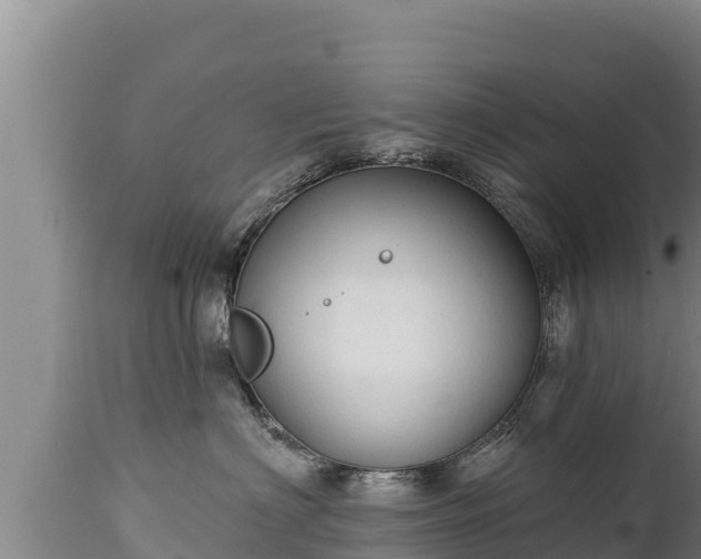 X0000112820622200908281532