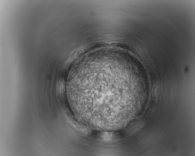 X0000112820623200908281532
