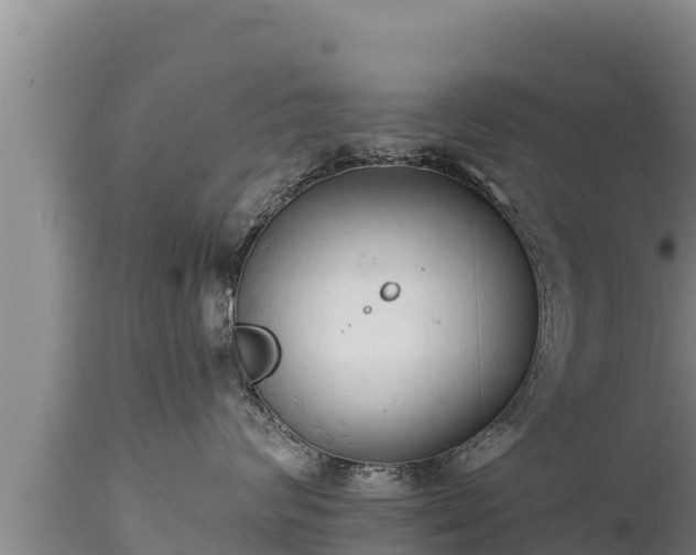 X0000112820624200908281532