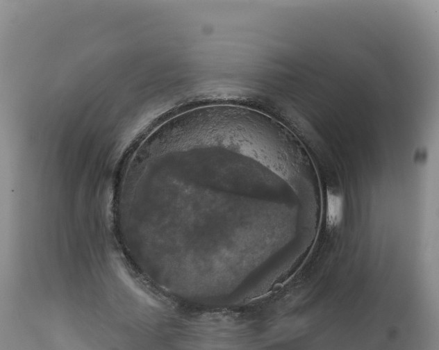 X0000112820627200908281531