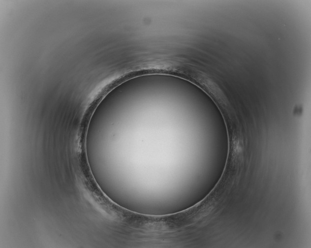 X0000112820628200908281531