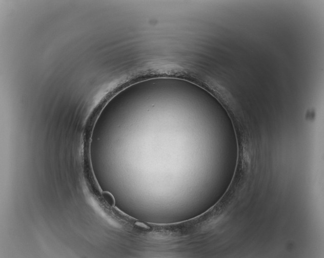 X0000112820630200908281531