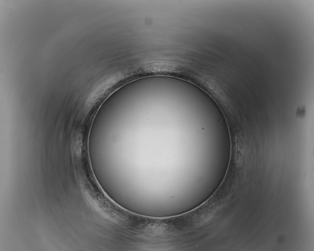 X0000112820631200908281532