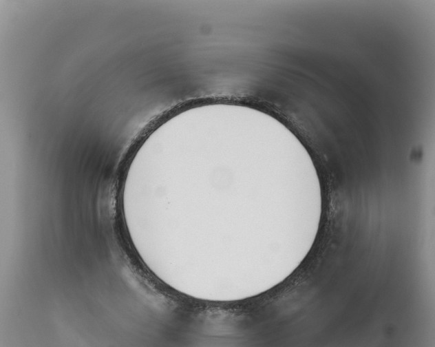 X0000112820632200908281532