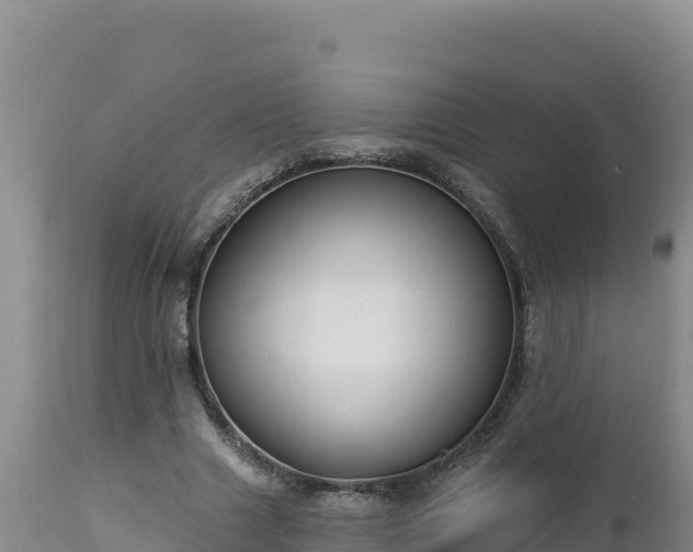 X0000112820633200908281532