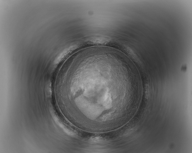 X0000112820634200908281532