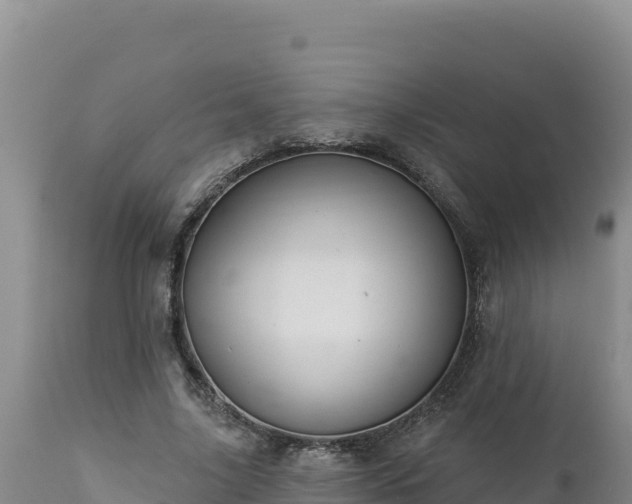 X0000112820635200908281532