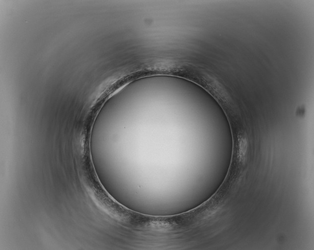 X0000112820636200908281532