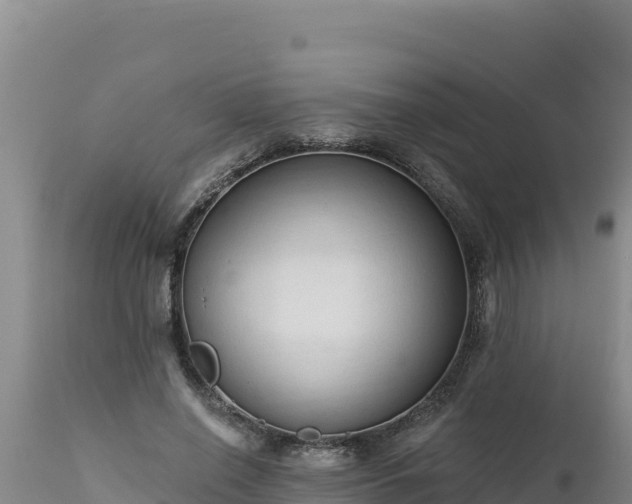 X0000112820638200908281532