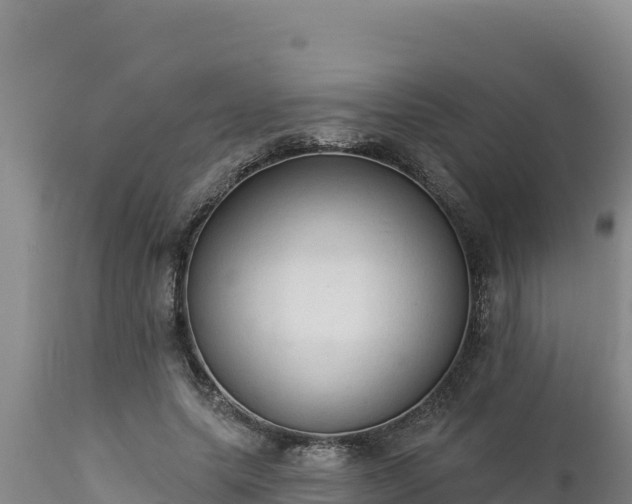 X0000112820639200908281532