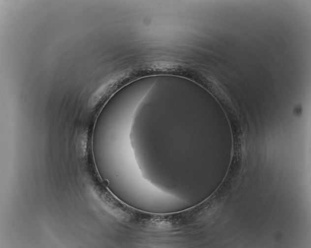 X0000112820640200908281532