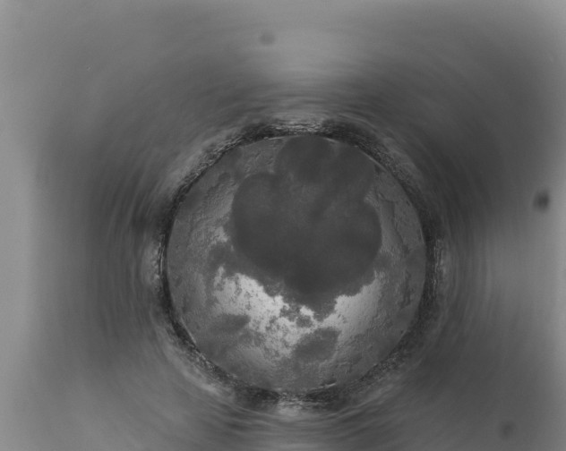 X0000112820641200908281532