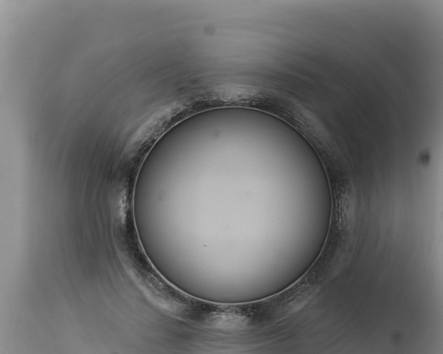 X0000112820644200908281532