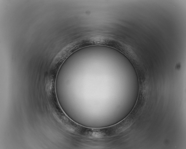 X0000112820645200908281532