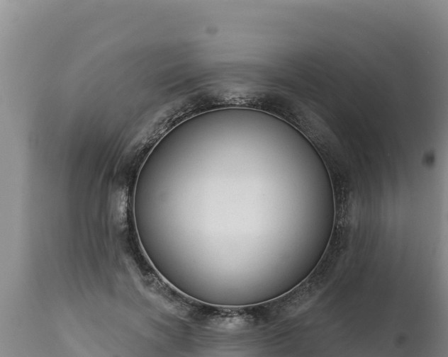 X0000112820646200908281532