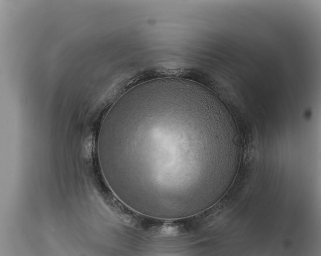 X0000112820647200908281532