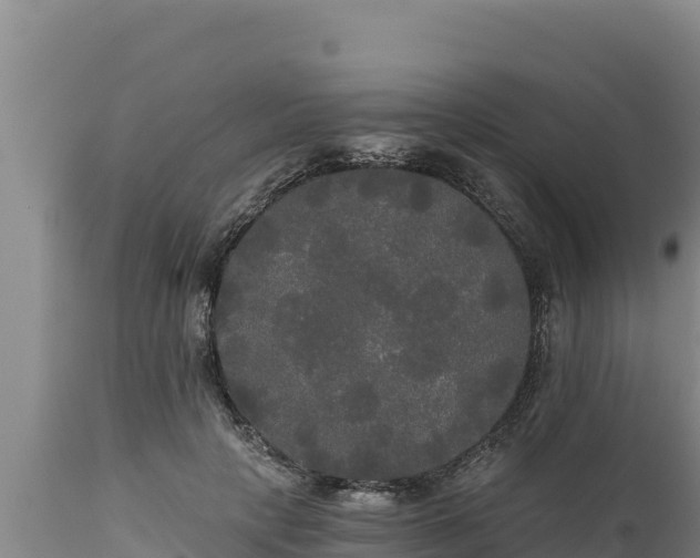 X0000112820649200908281532