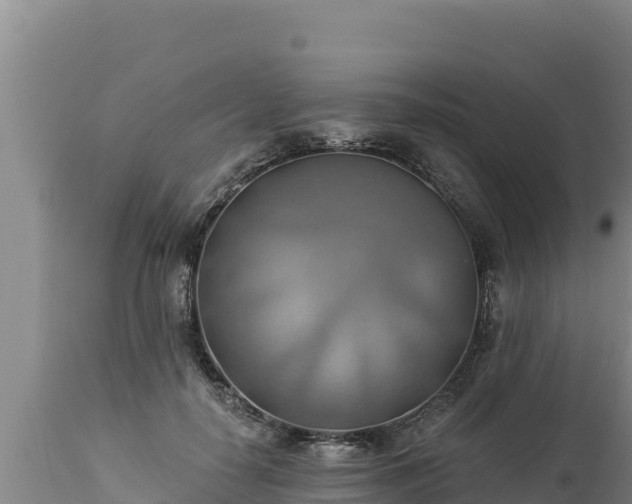 X0000112820650200908281532