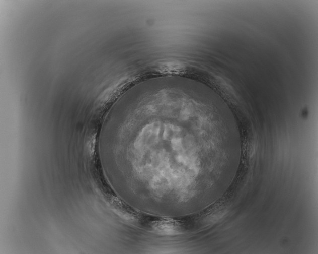 X0000112820652200908281532