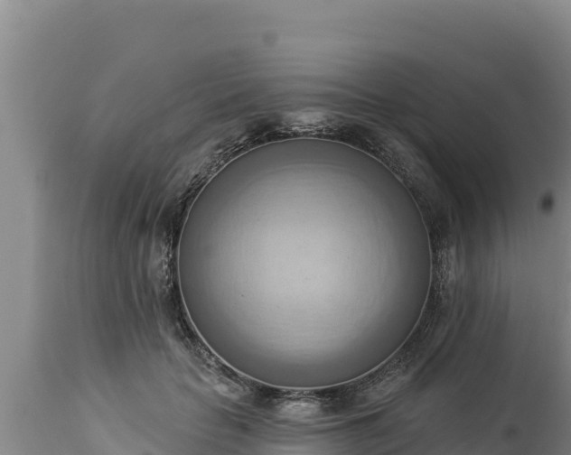 X0000112820653200908281532