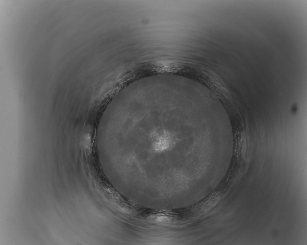 X0000112820655200908281532