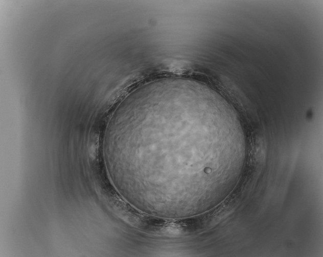 X0000112820656200908281532