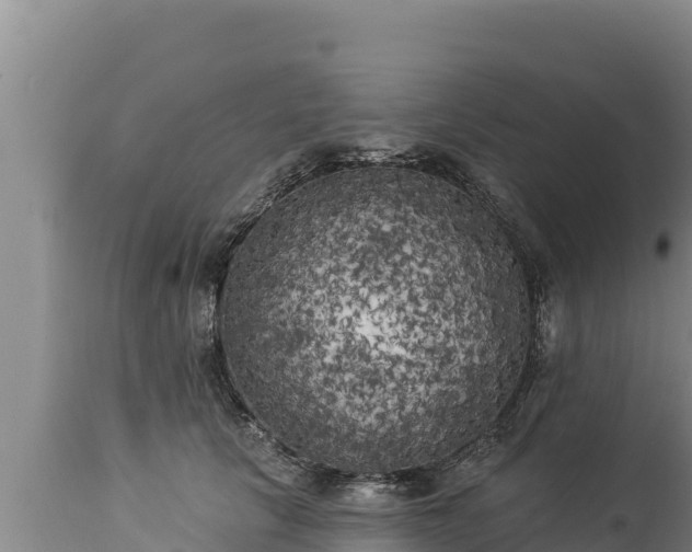 X0000112820657200908281532